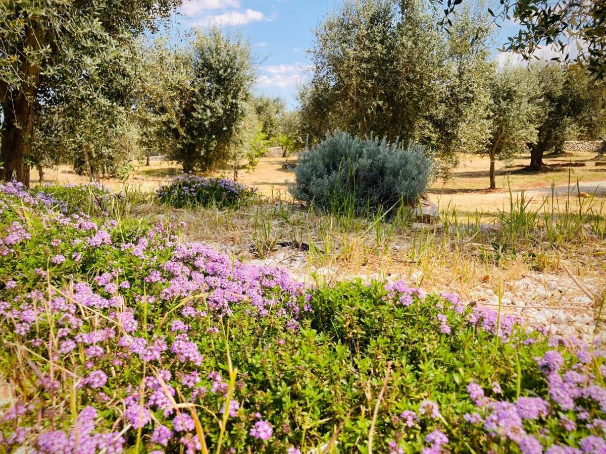 Trulli Acquasala - Apulian Country Experience Villa Ostuni Buitenkant foto
